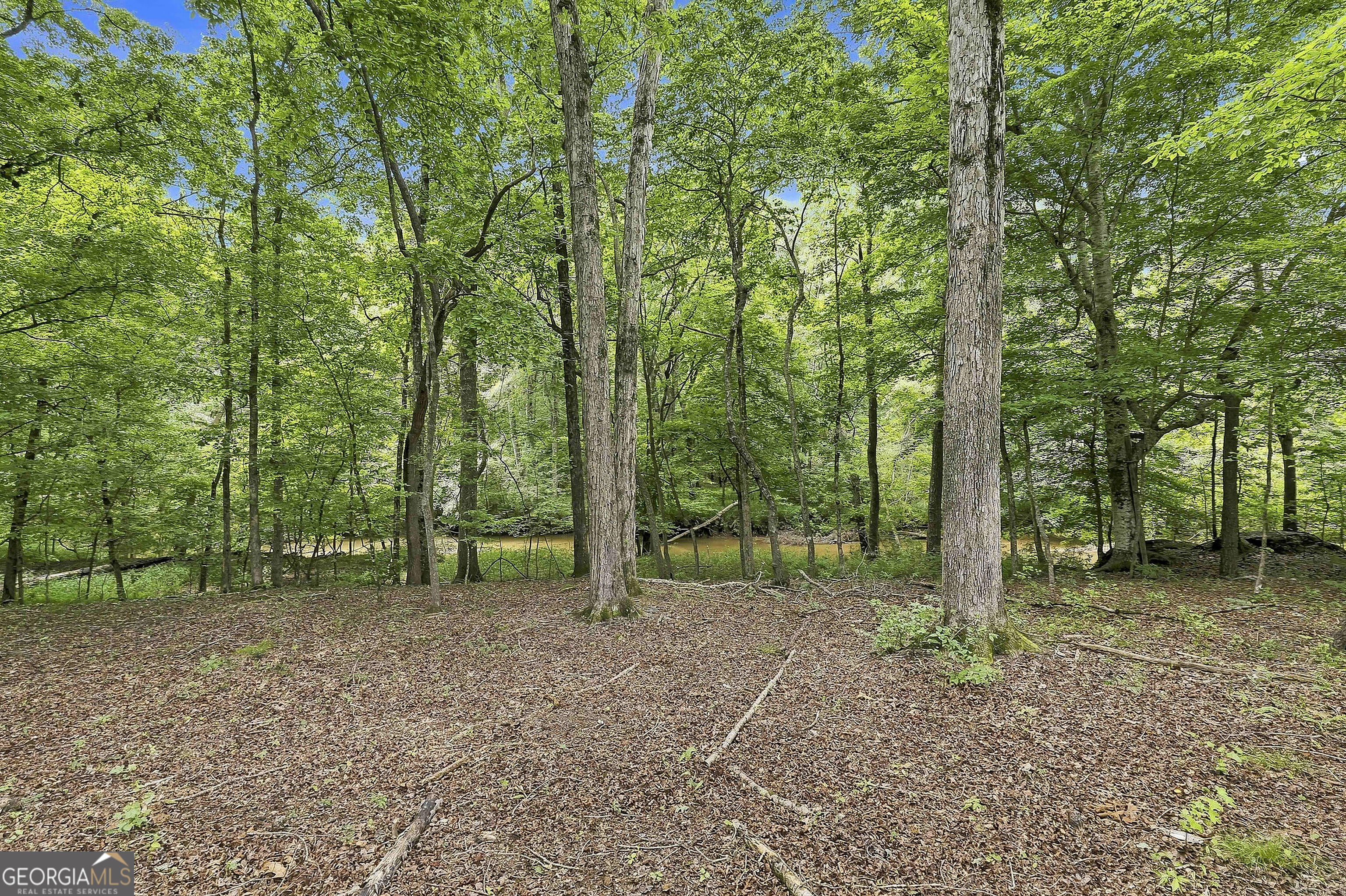 230 Windchime Way Property Photo 60