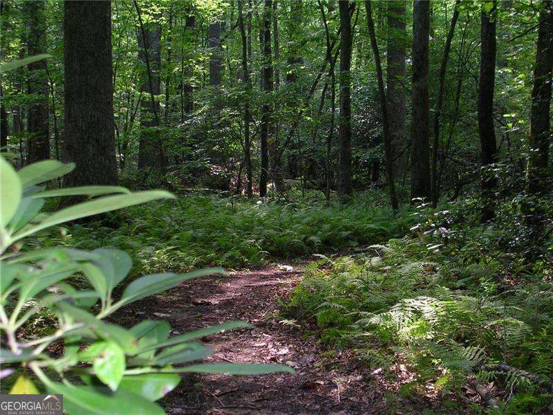102 Fort Gibson Court Property Photo 36