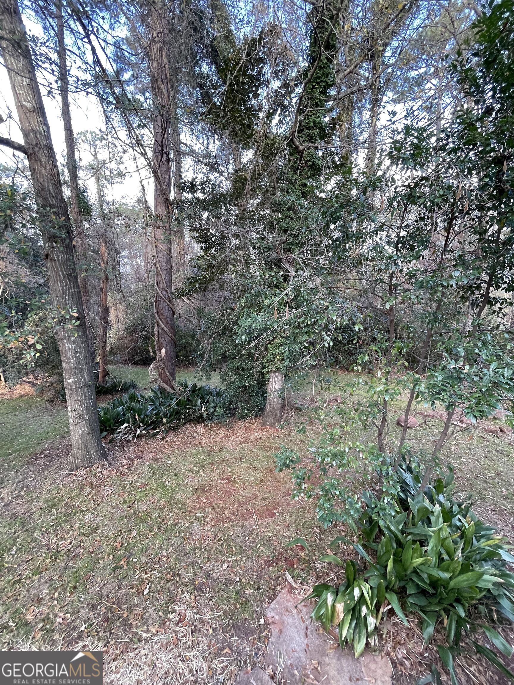408 Thurston Avenue Property Photo 35
