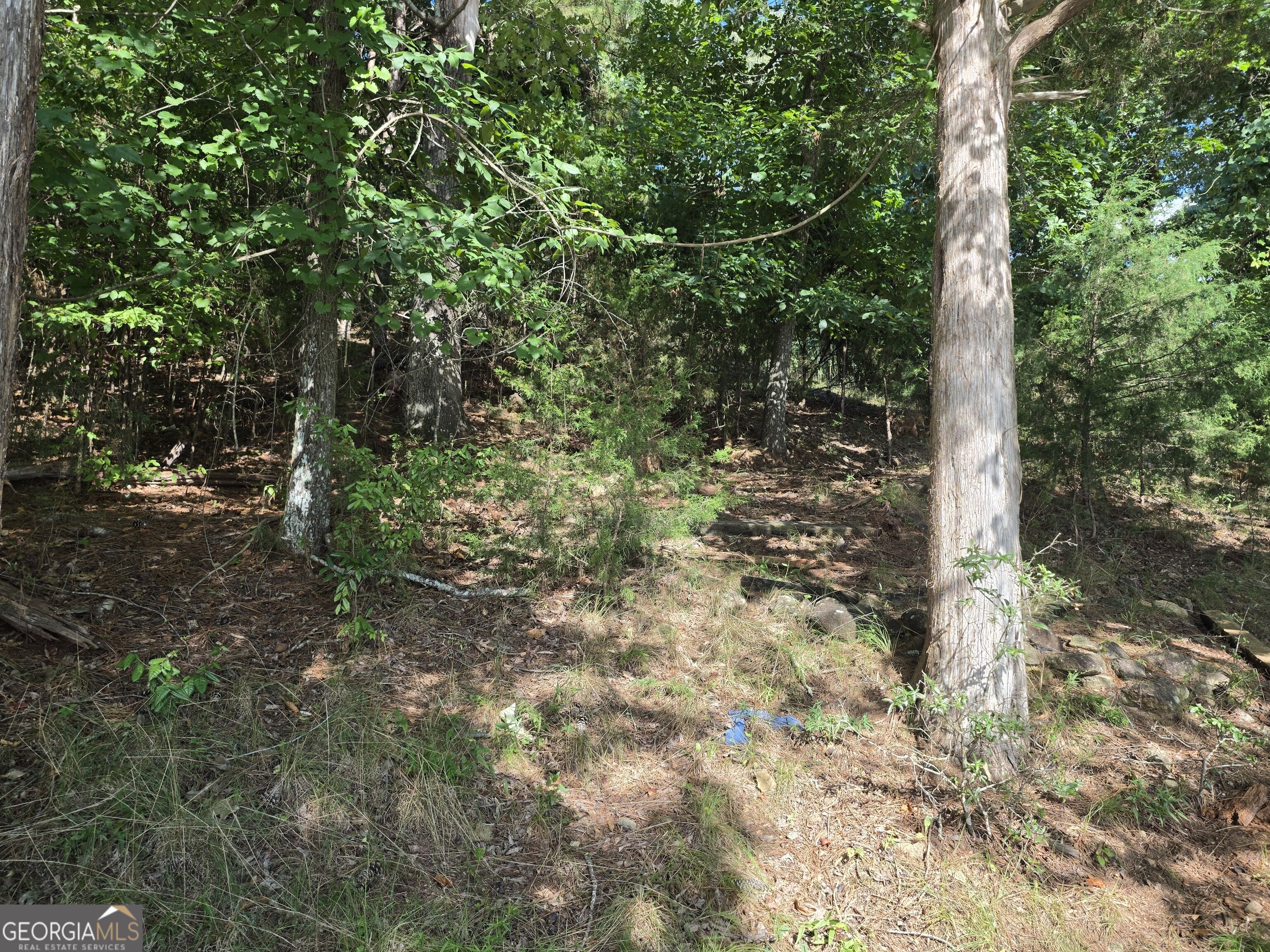 95 Lang Circle Property Photo 8