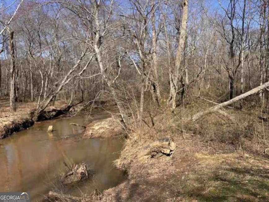 398 Mud Creek Road Property Photo 6