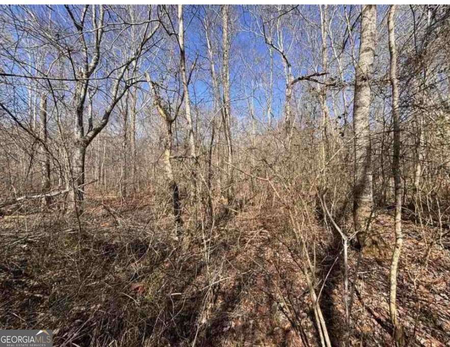 398 Mud Creek Road Property Photo 7