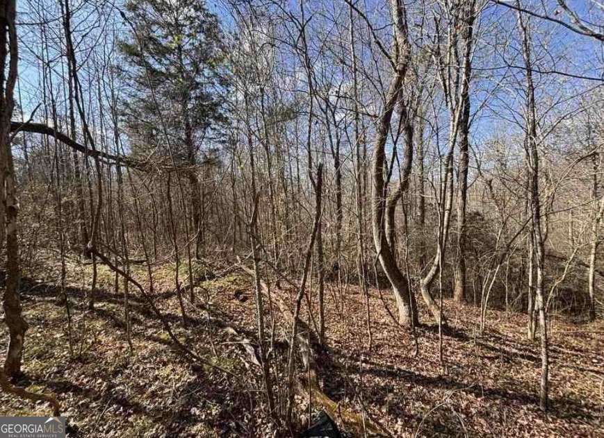 398 Mud Creek Road Property Photo 8