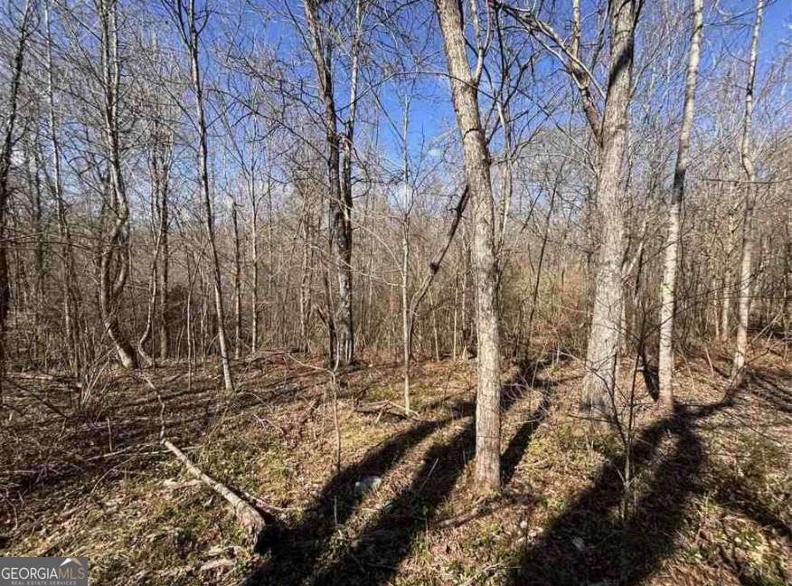 398 Mud Creek Road Property Photo 9