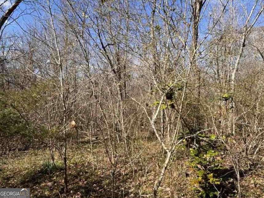 398 Mud Creek Road Property Photo 10