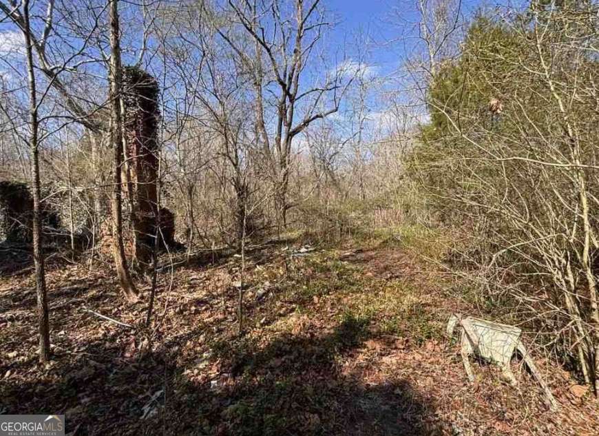 398 Mud Creek Road Property Photo 11
