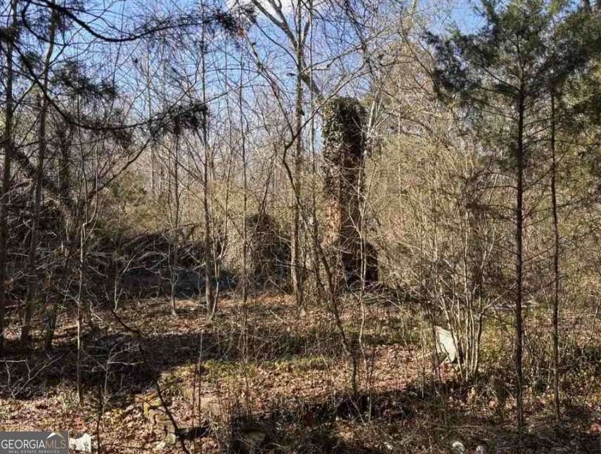 398 Mud Creek Road Property Photo 12