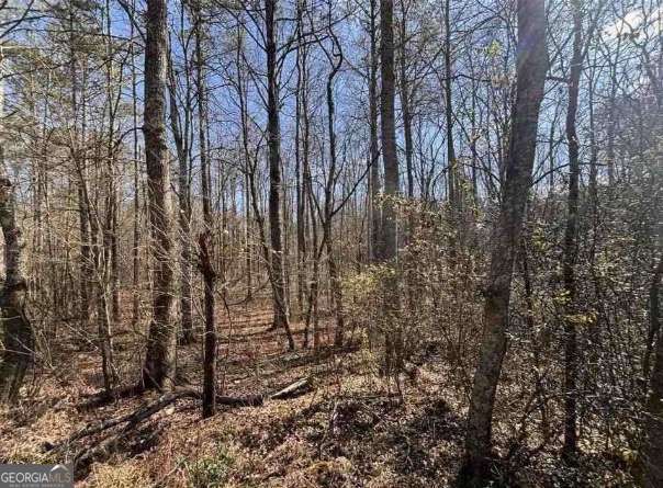 398 Mud Creek Road Property Photo 14