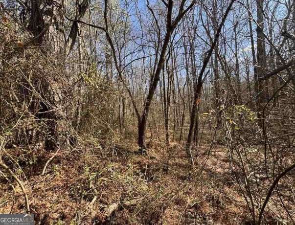 398 Mud Creek Road Property Photo 16