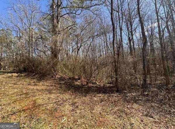 398 Mud Creek Road Property Photo 17