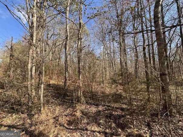 398 Mud Creek Road Property Photo 18
