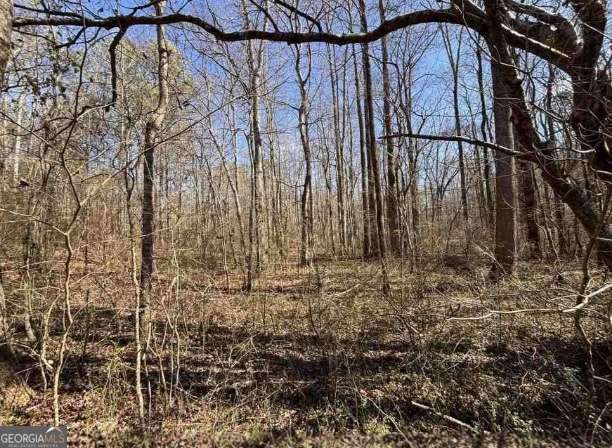 398 Mud Creek Road Property Photo 19