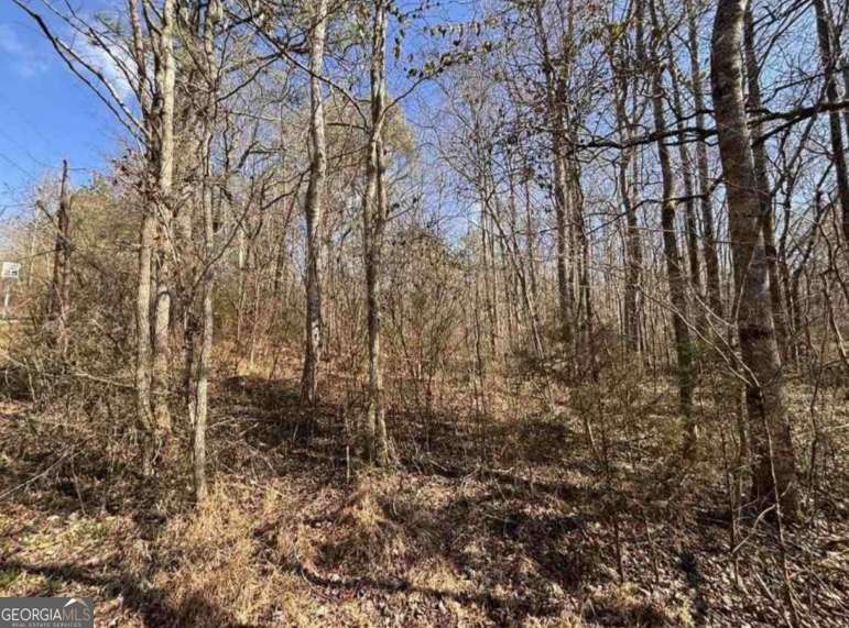 398 Mud Creek Road Property Photo 28