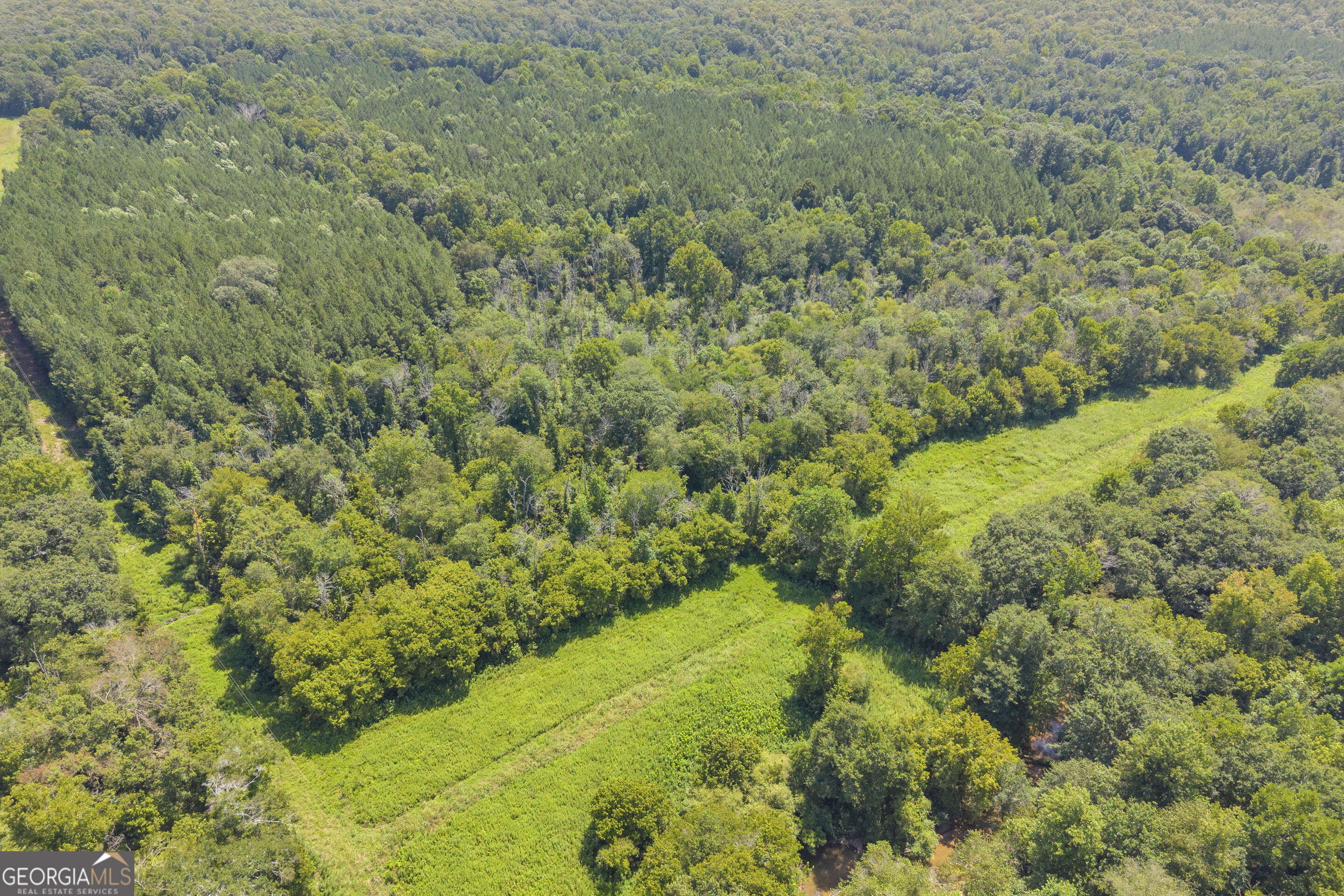 0 Samples Bottom Road Property Photo 12