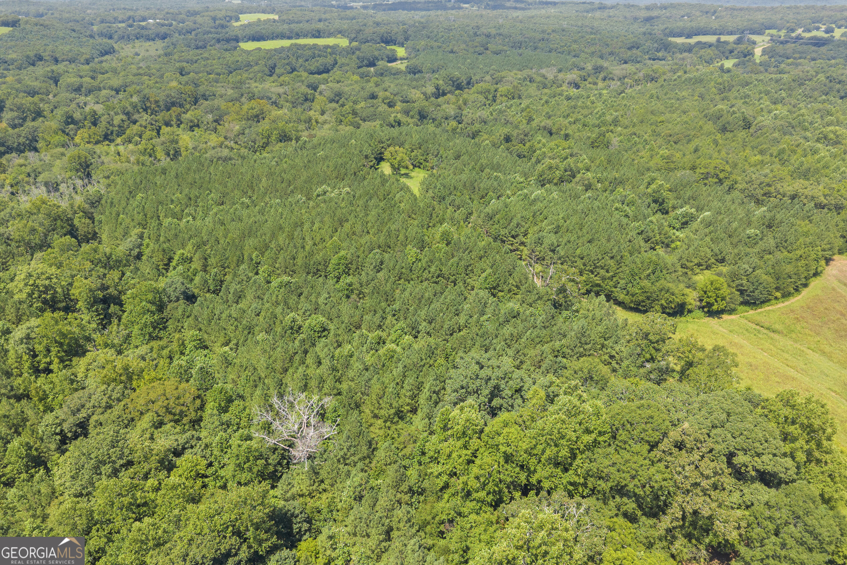 0 Samples Bottom Road Property Photo 14