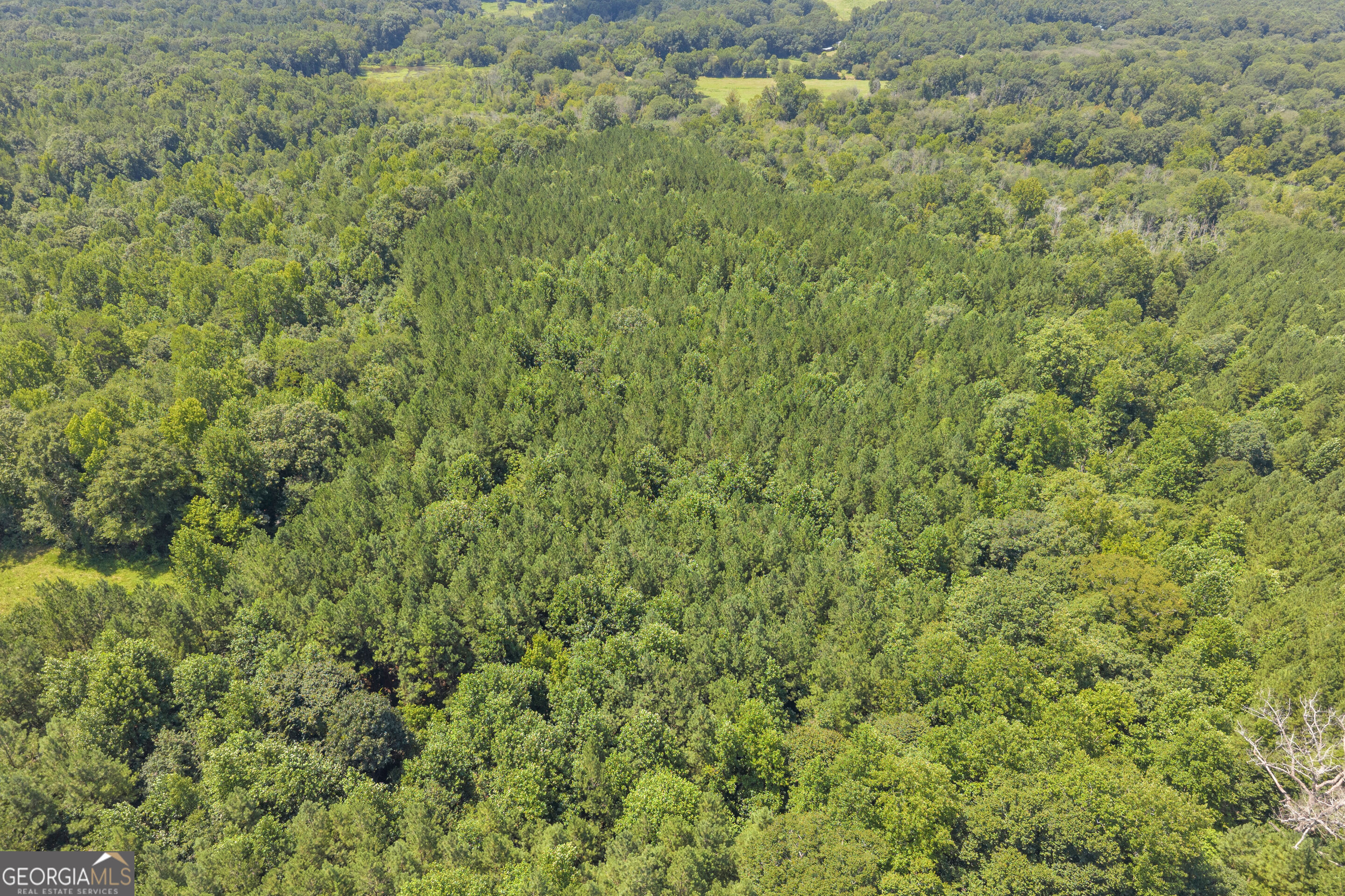 0 Samples Bottom Road Property Photo 15