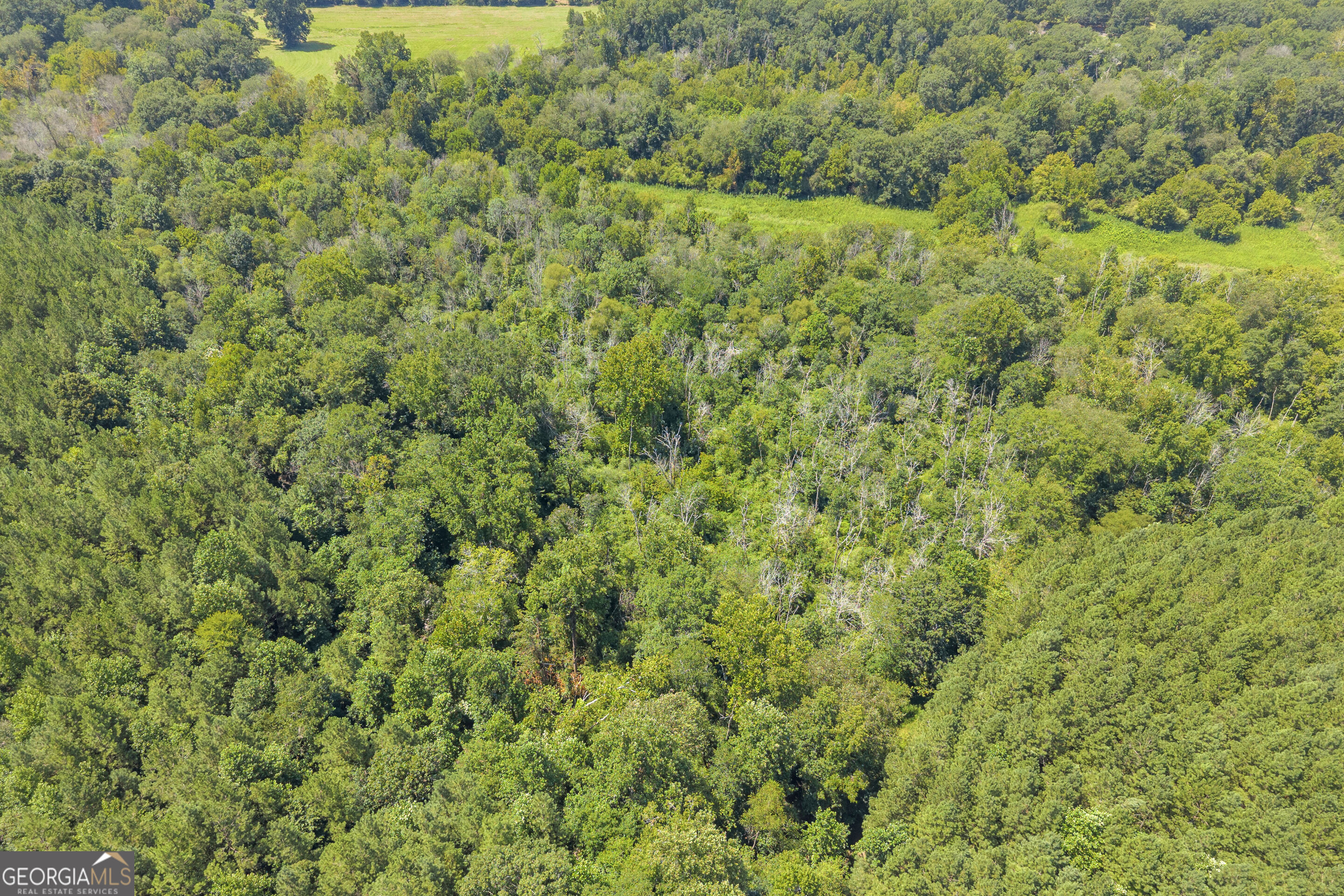 0 Samples Bottom Road Property Photo 17