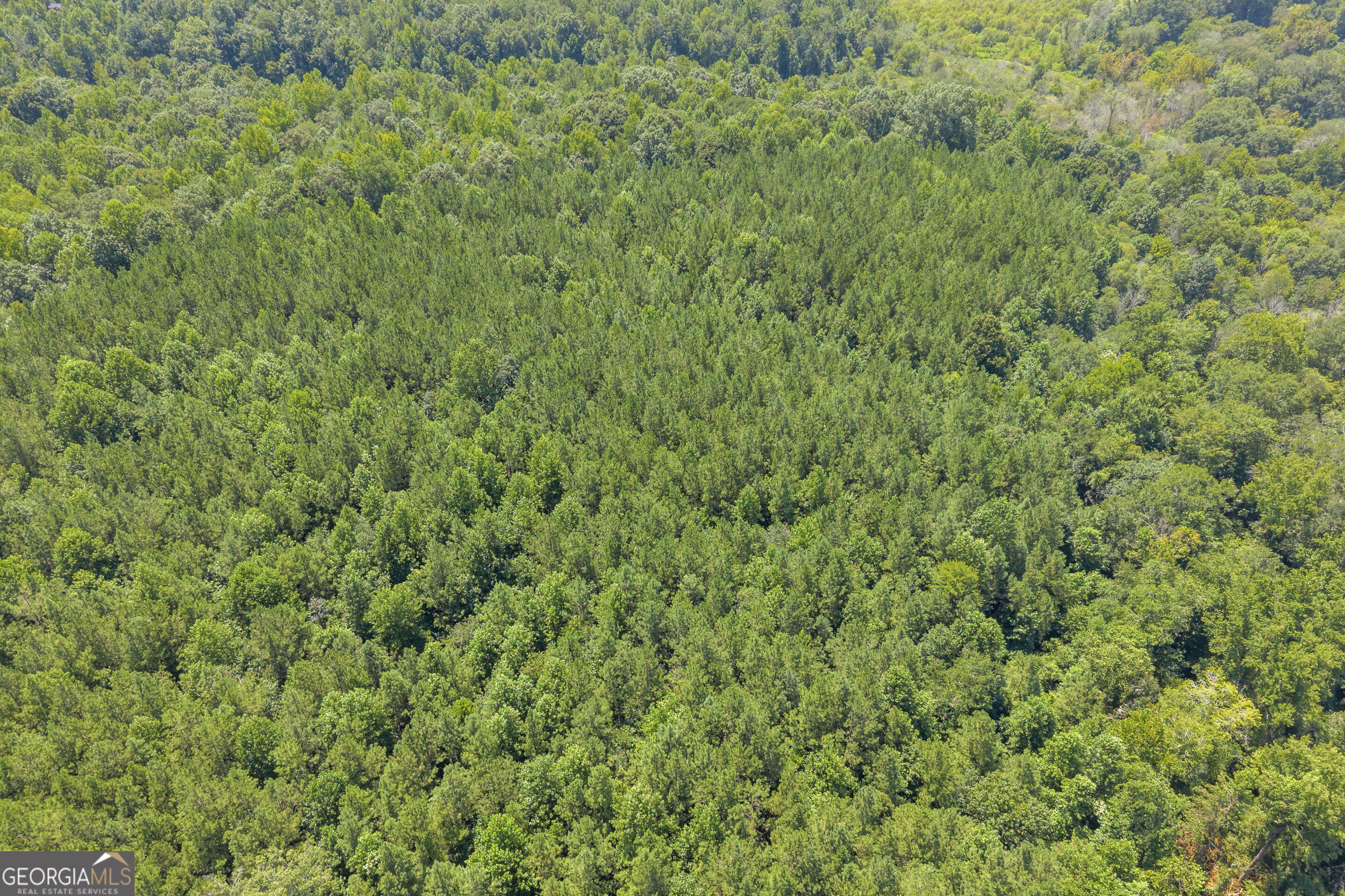 0 Samples Bottom Road Property Photo 18