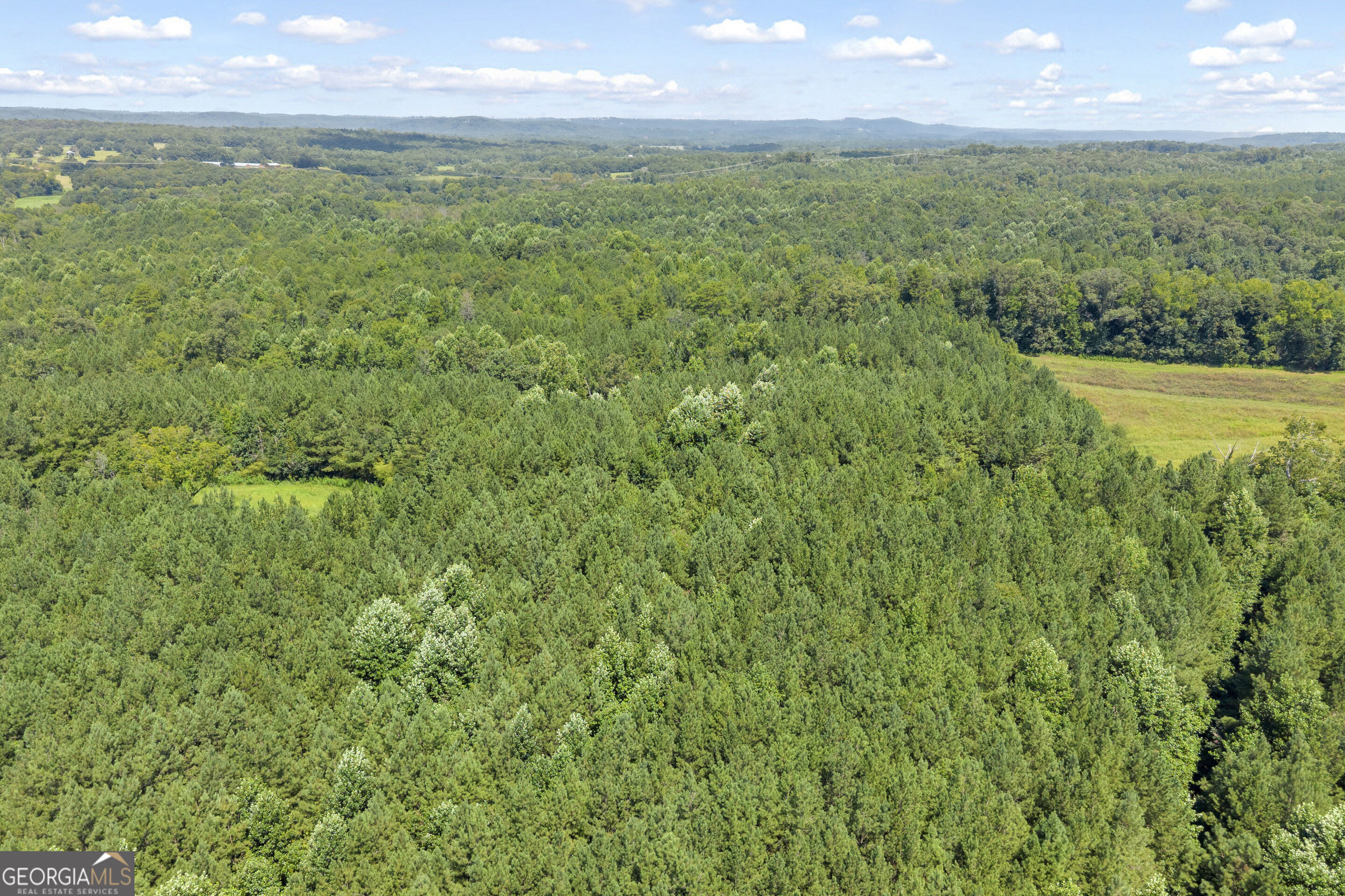 0 Samples Bottom Road Property Photo 19