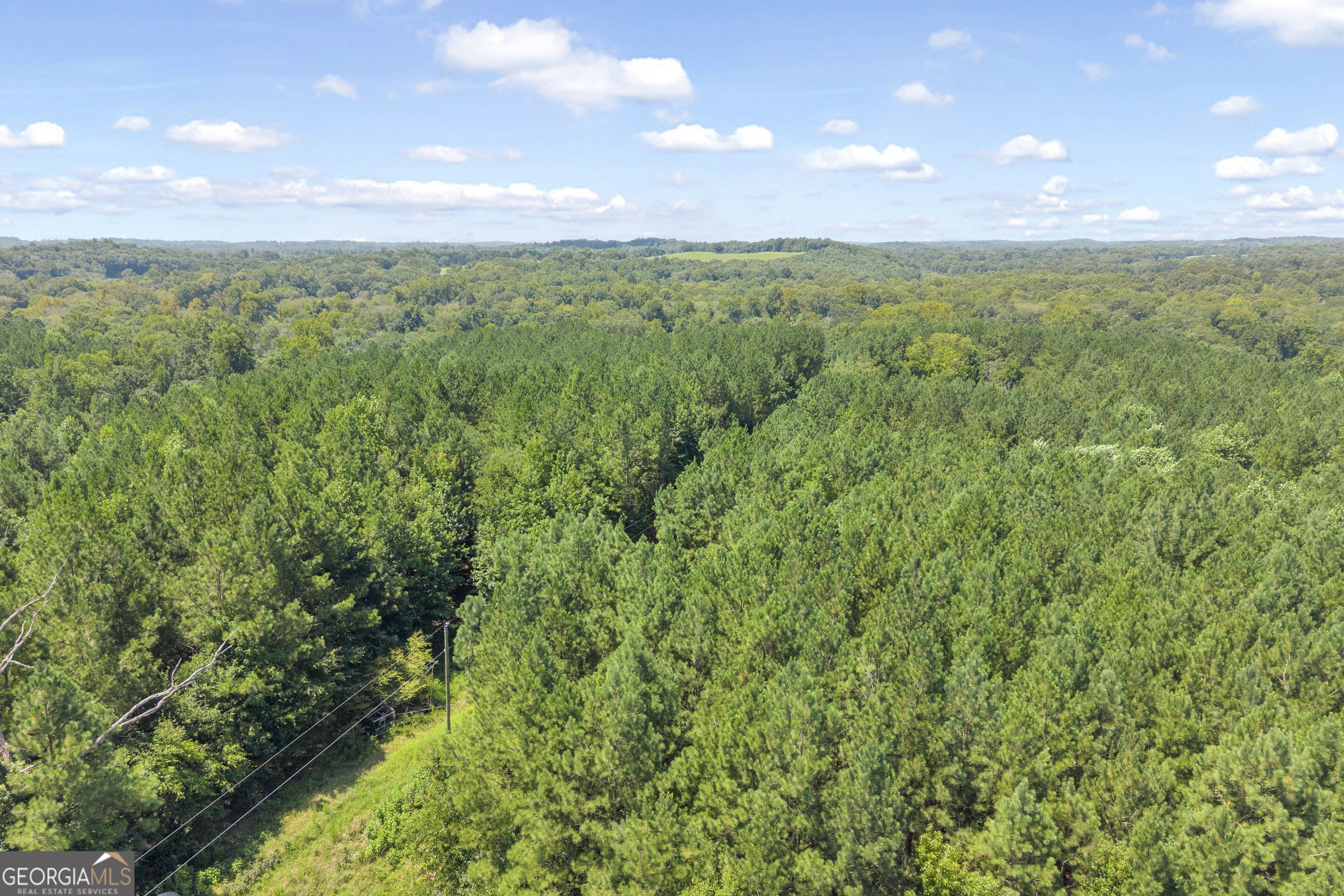 0 Samples Bottom Road Property Photo 20