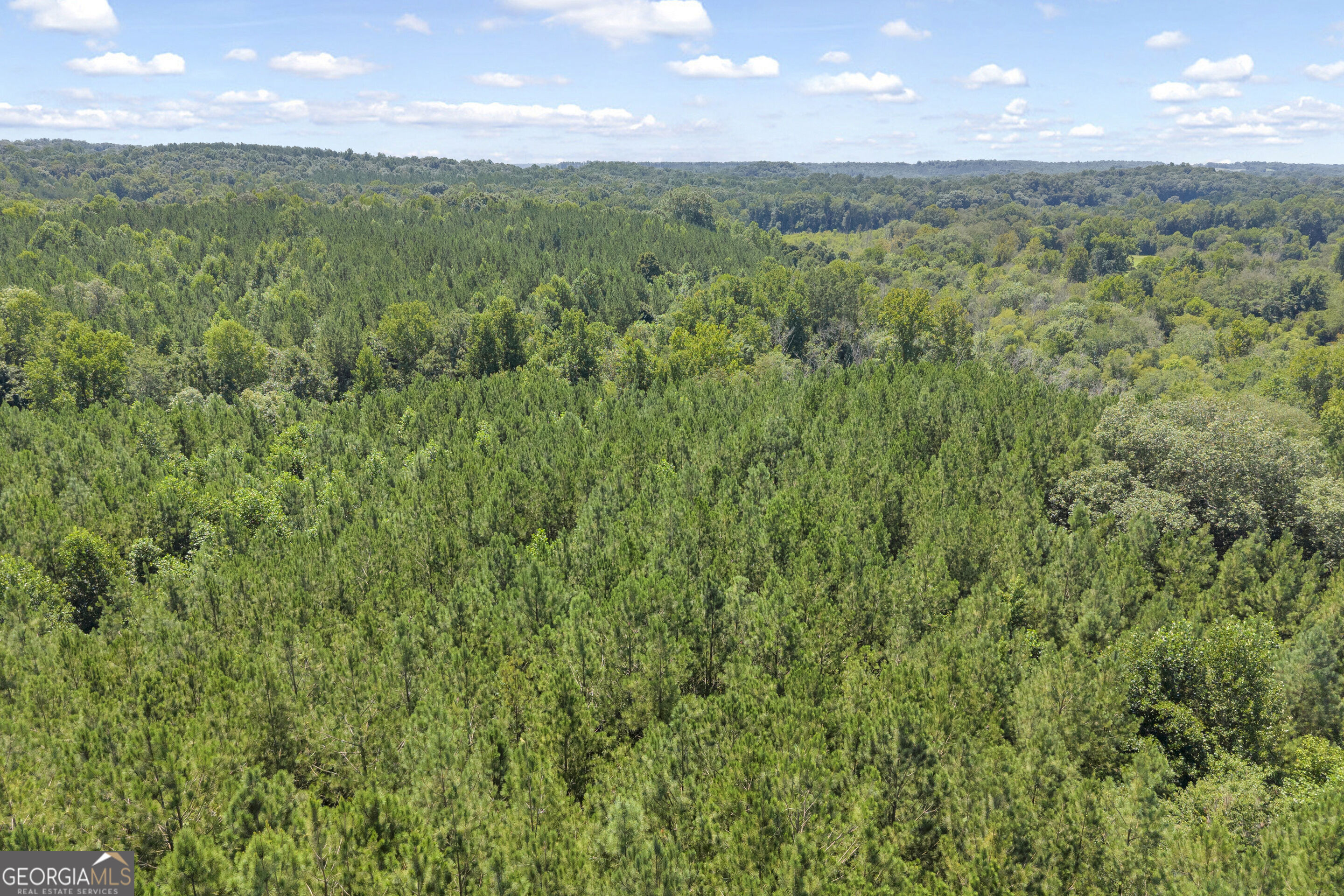 0 Samples Bottom Road Property Photo 23