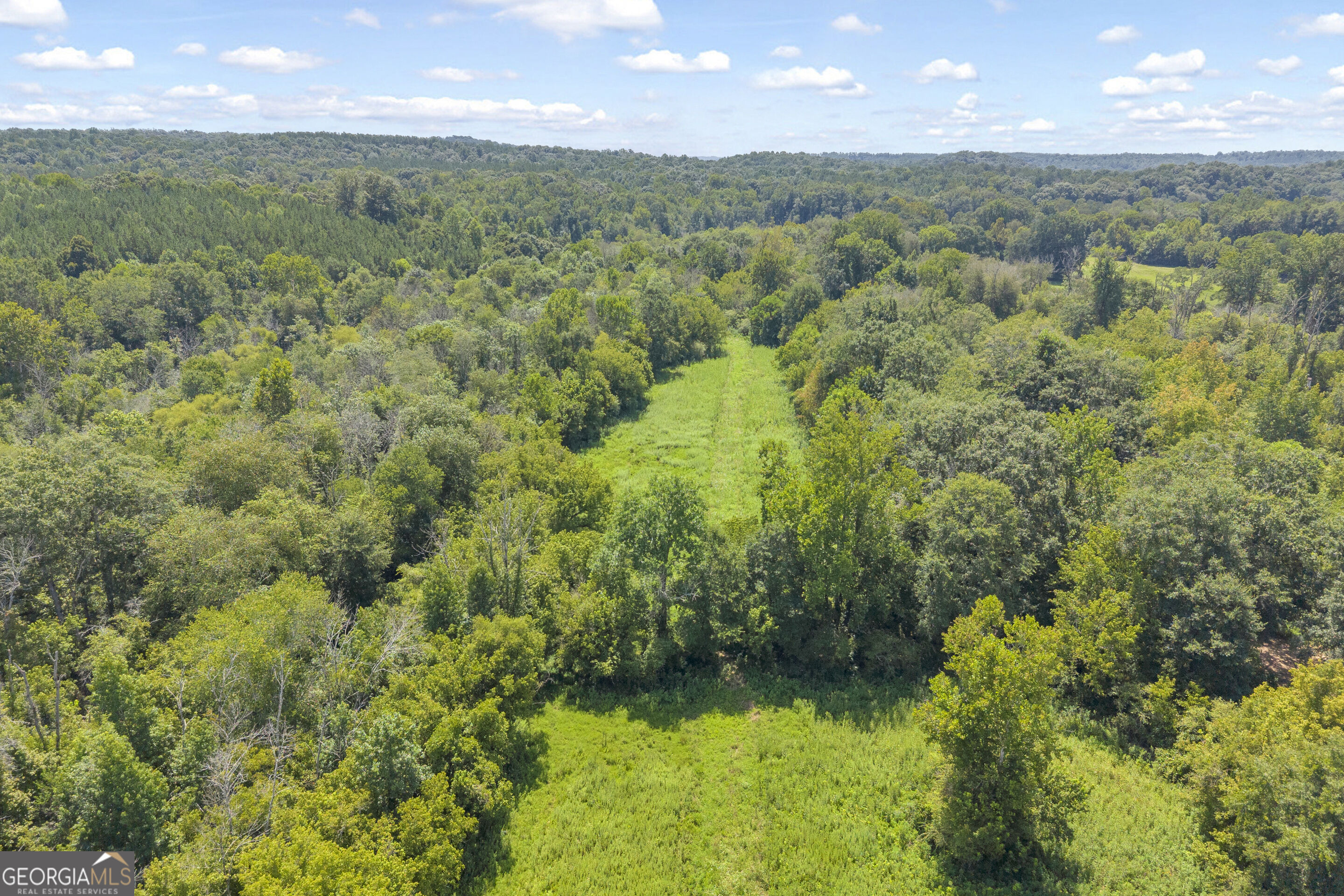 0 Samples Bottom Road Property Photo 29