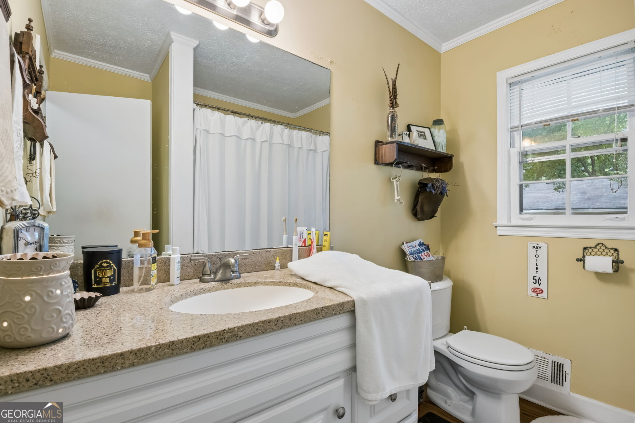 4231 Hamilton Mill Road Property Photo 35