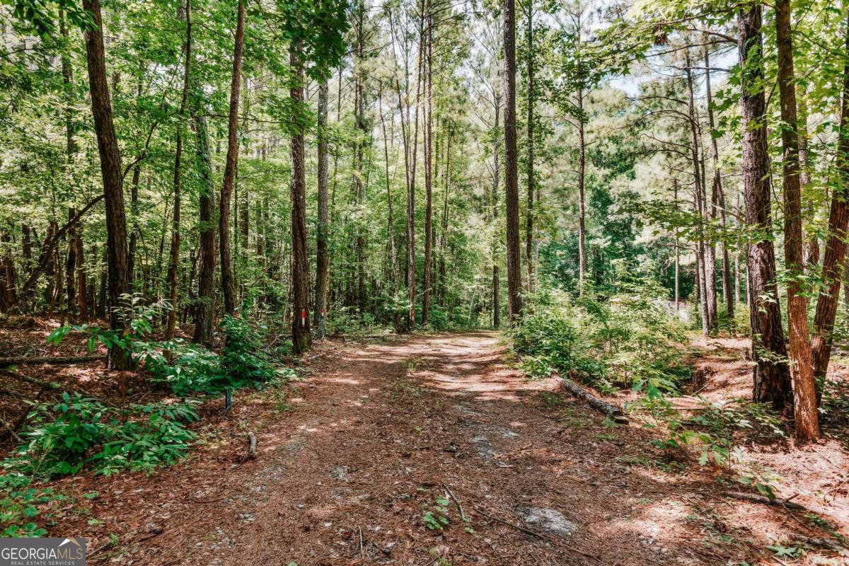 72 Terry Dee Lane Property Photo 33