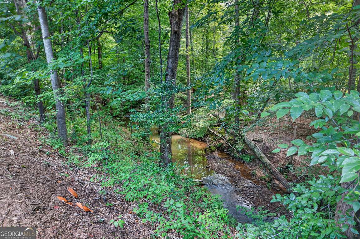 2294 Meadow's End Property Photo 34
