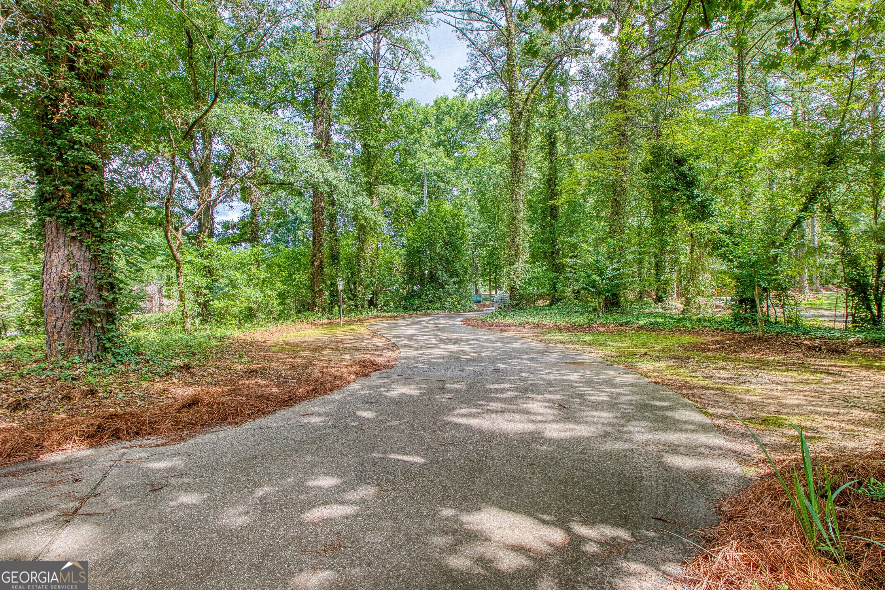 205 White Road Property Photo 50