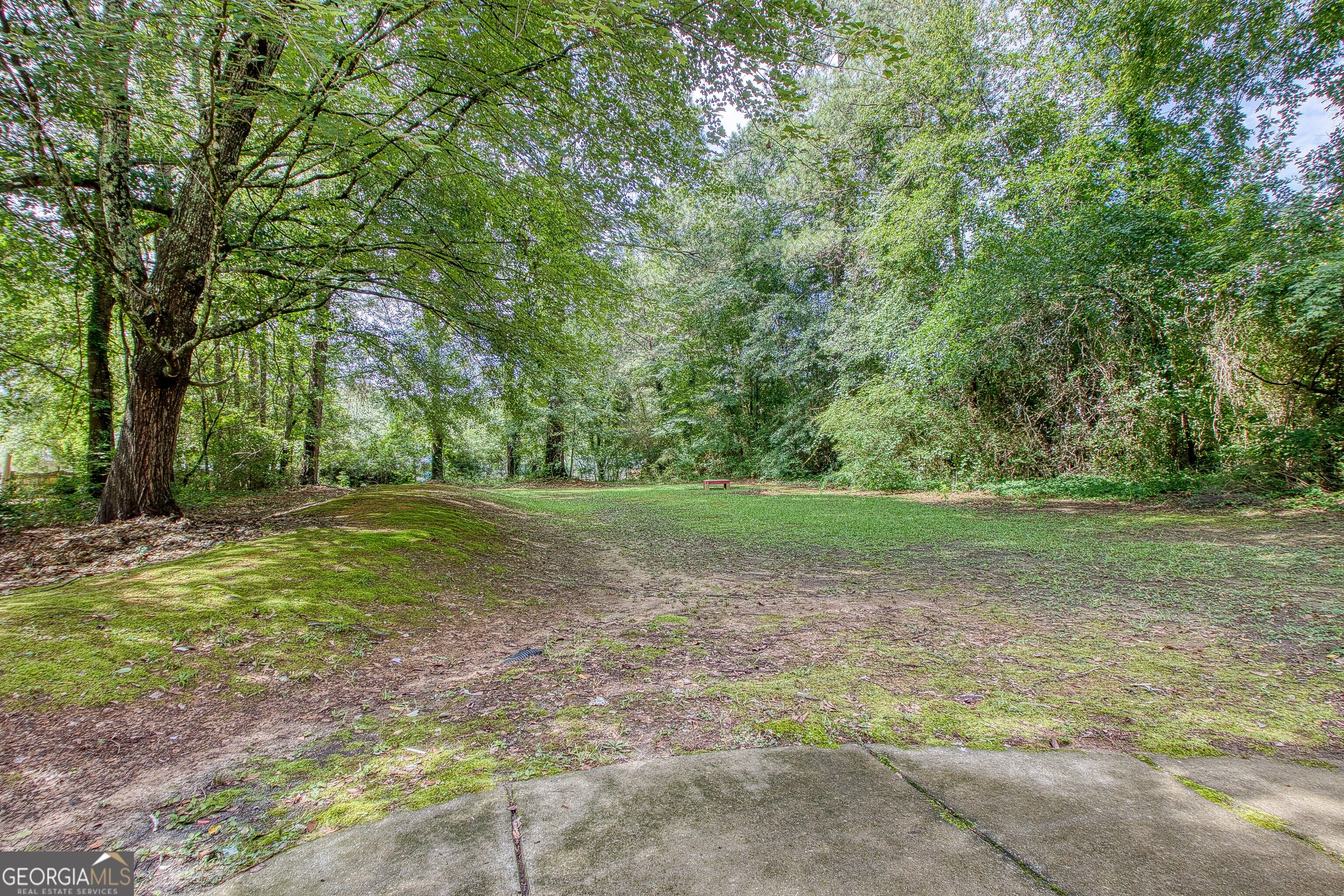205 White Road Property Photo 65