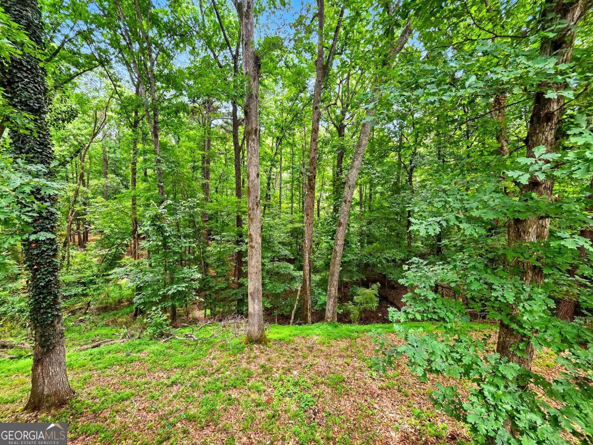 1740 Deer Run Drive Sw Property Photo 33