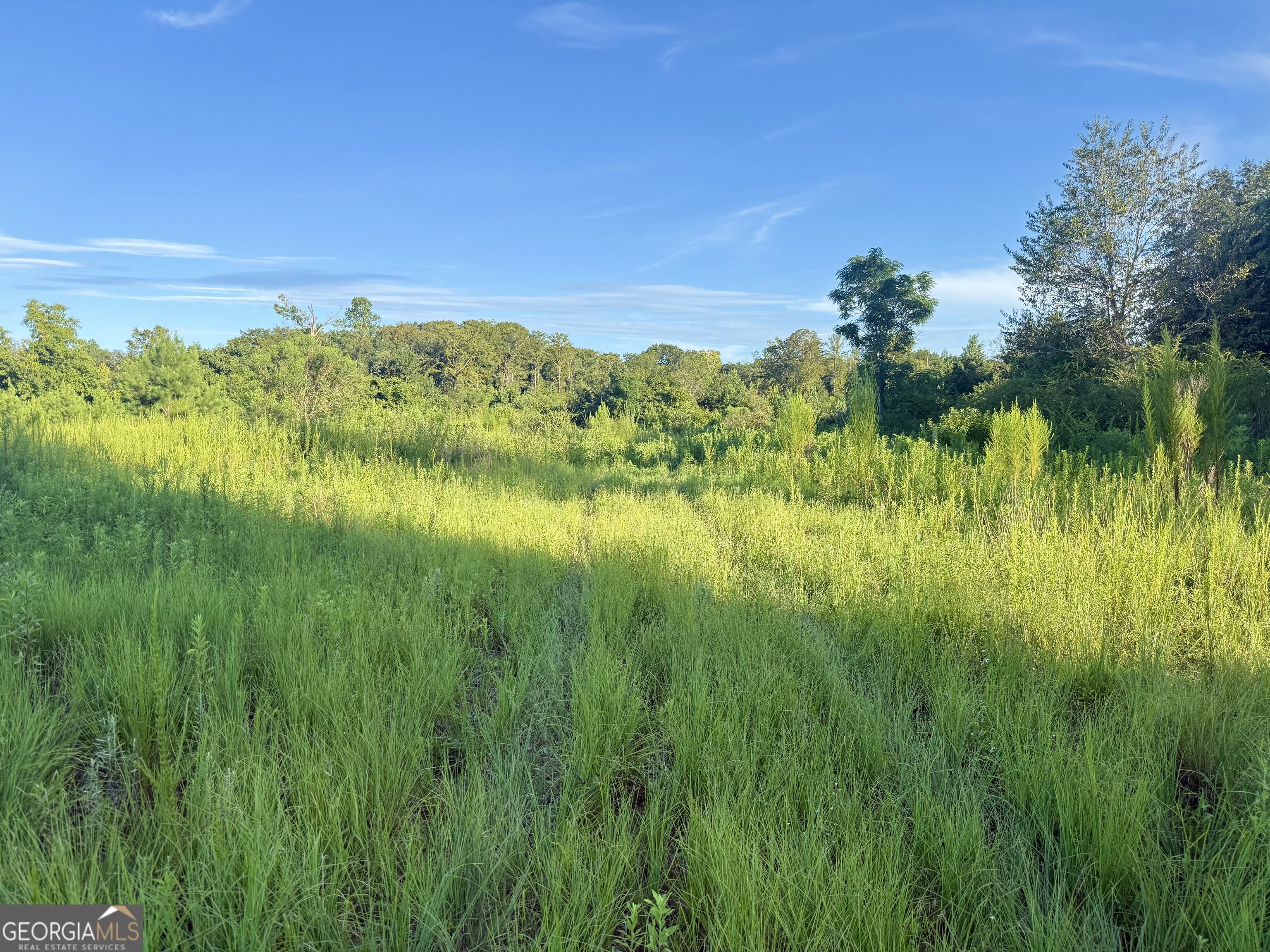 0 Hwy 62 Property Photo 4