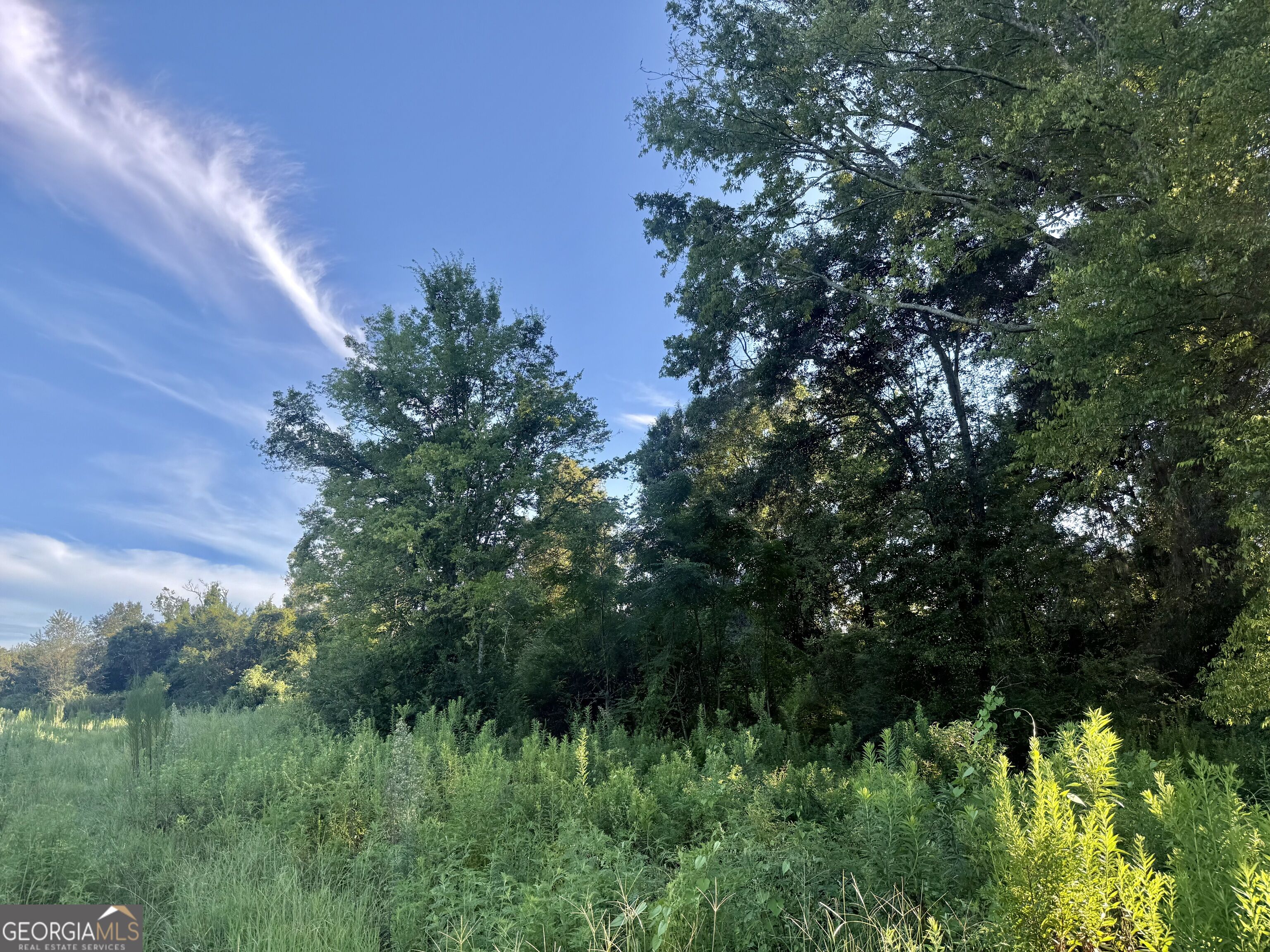0 Hwy 62 Property Photo 5