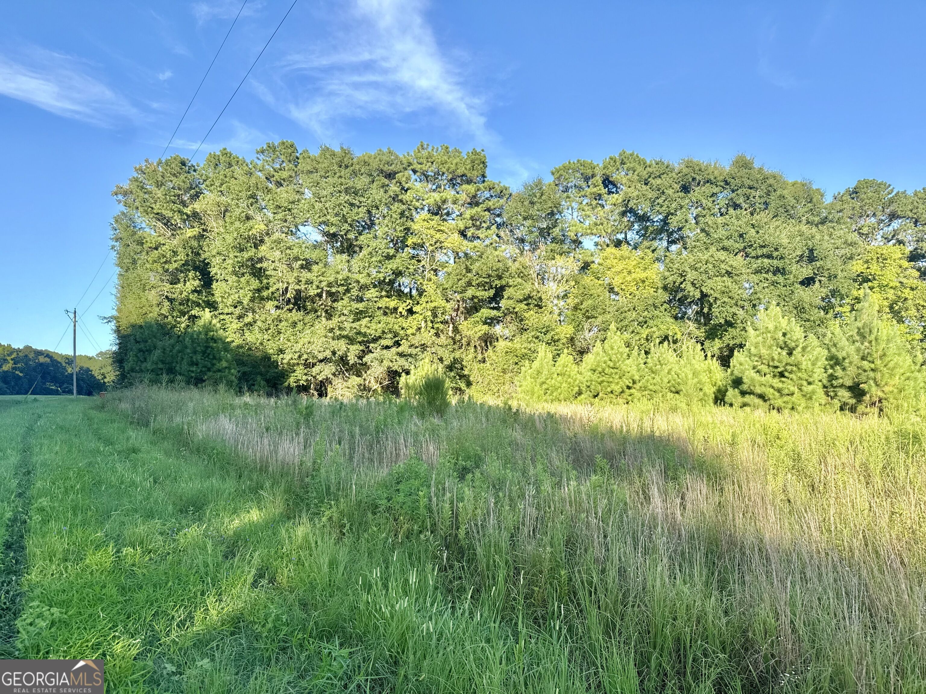 0 Hwy 62 Property Photo 6