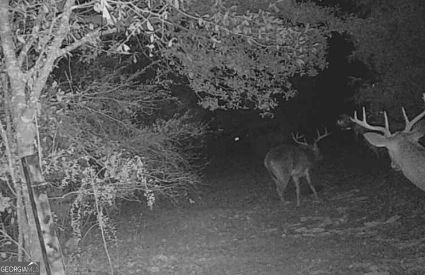 0 Hwy 62 Property Photo 10