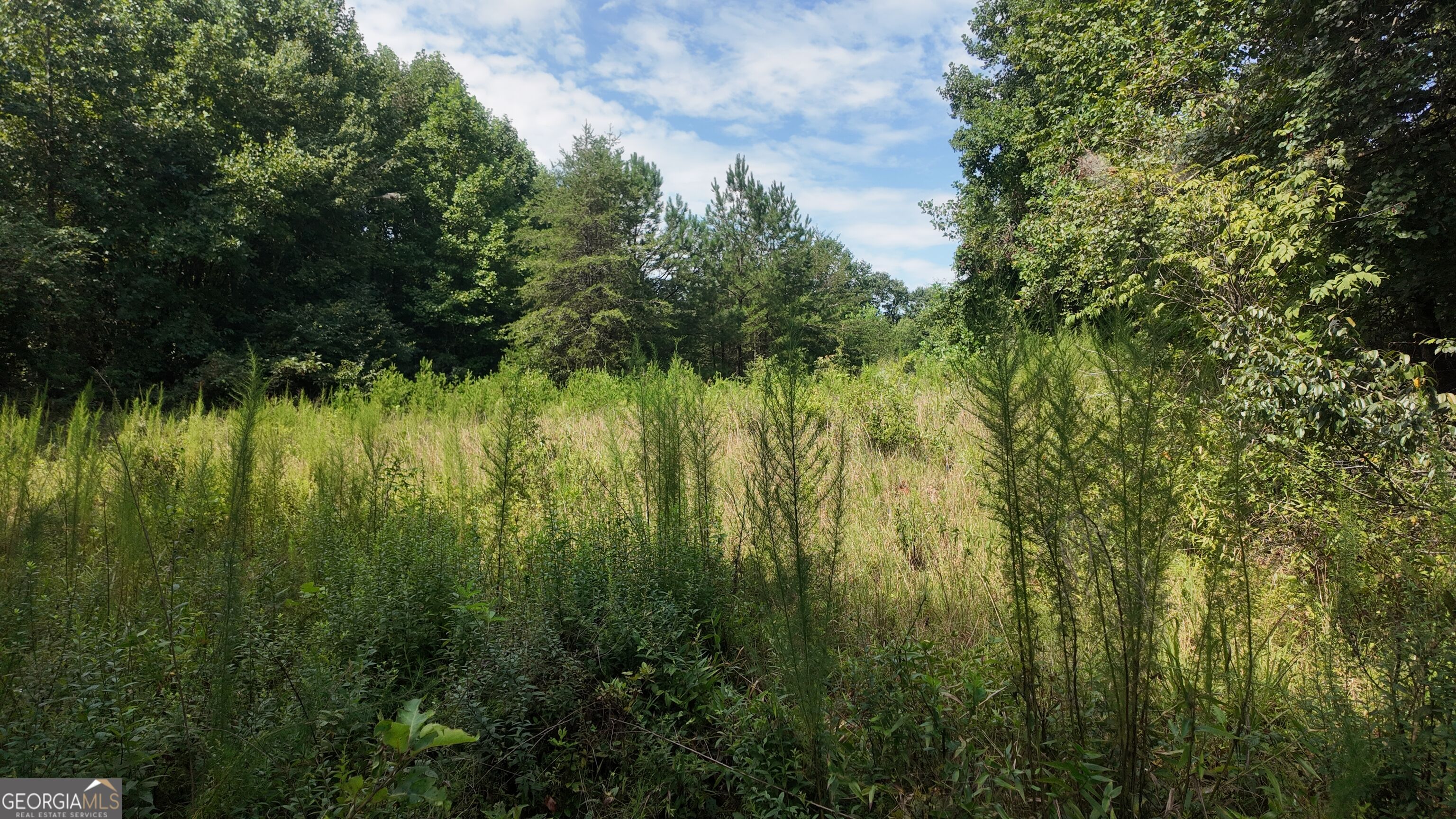 10.8 Ac Cody Road Property Photo 6