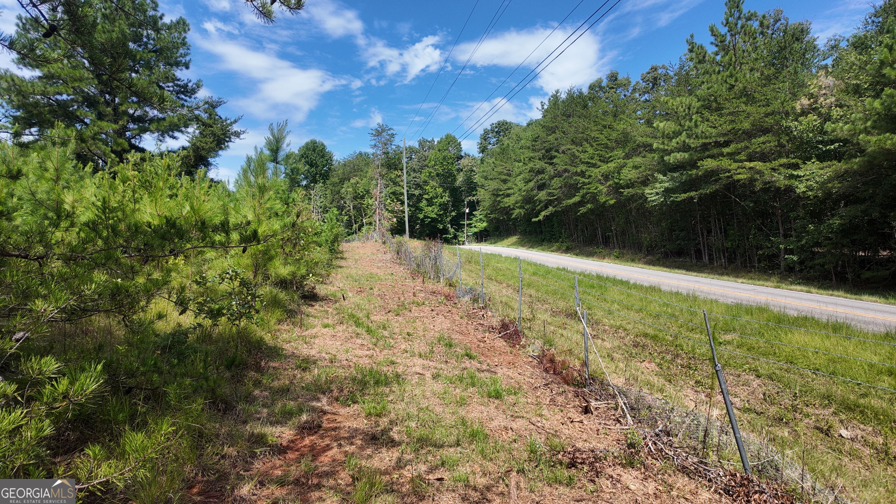 10.8 Ac Cody Road Property Photo 7