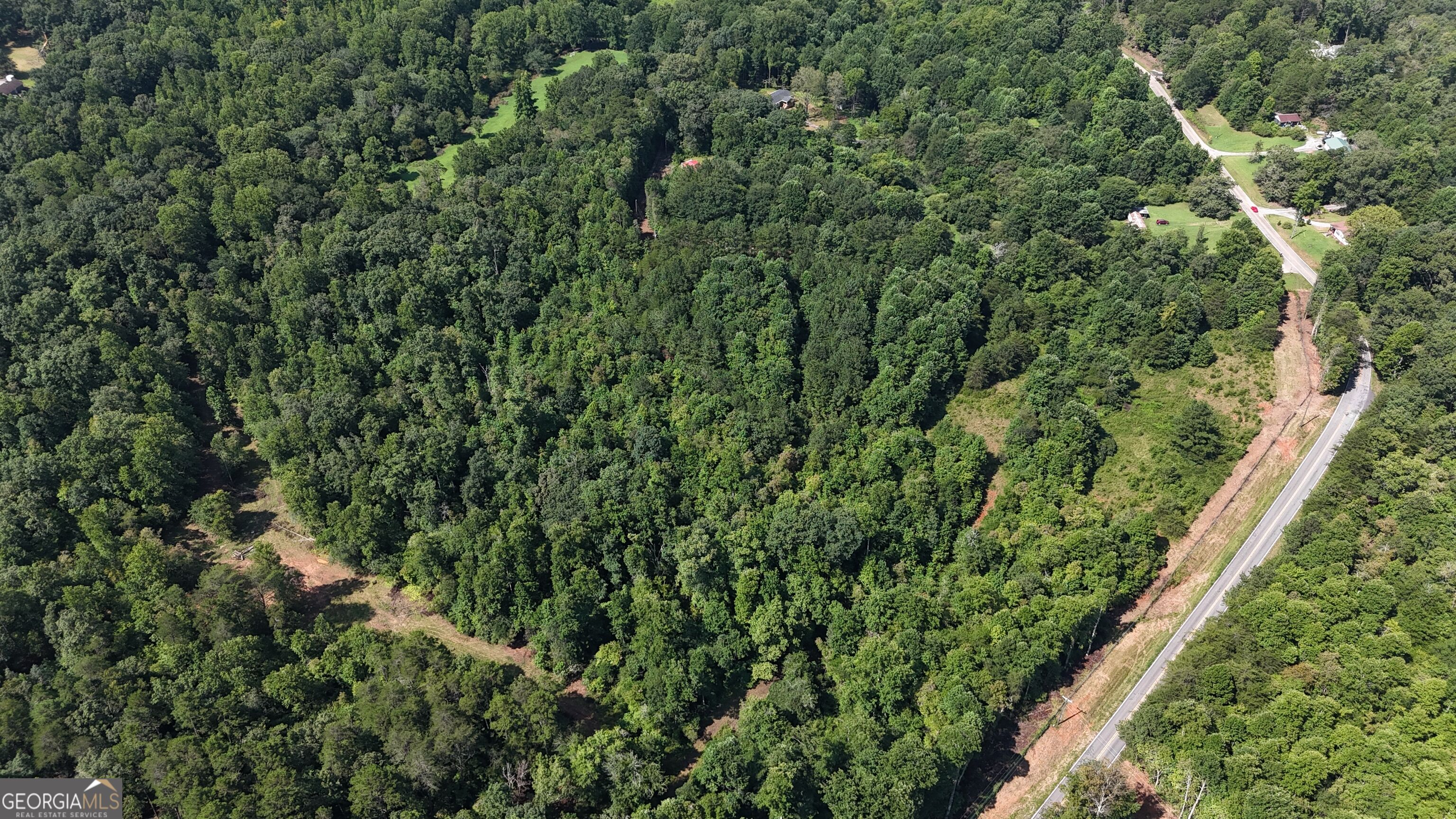 10.8 Ac Cody Road Property Photo 13