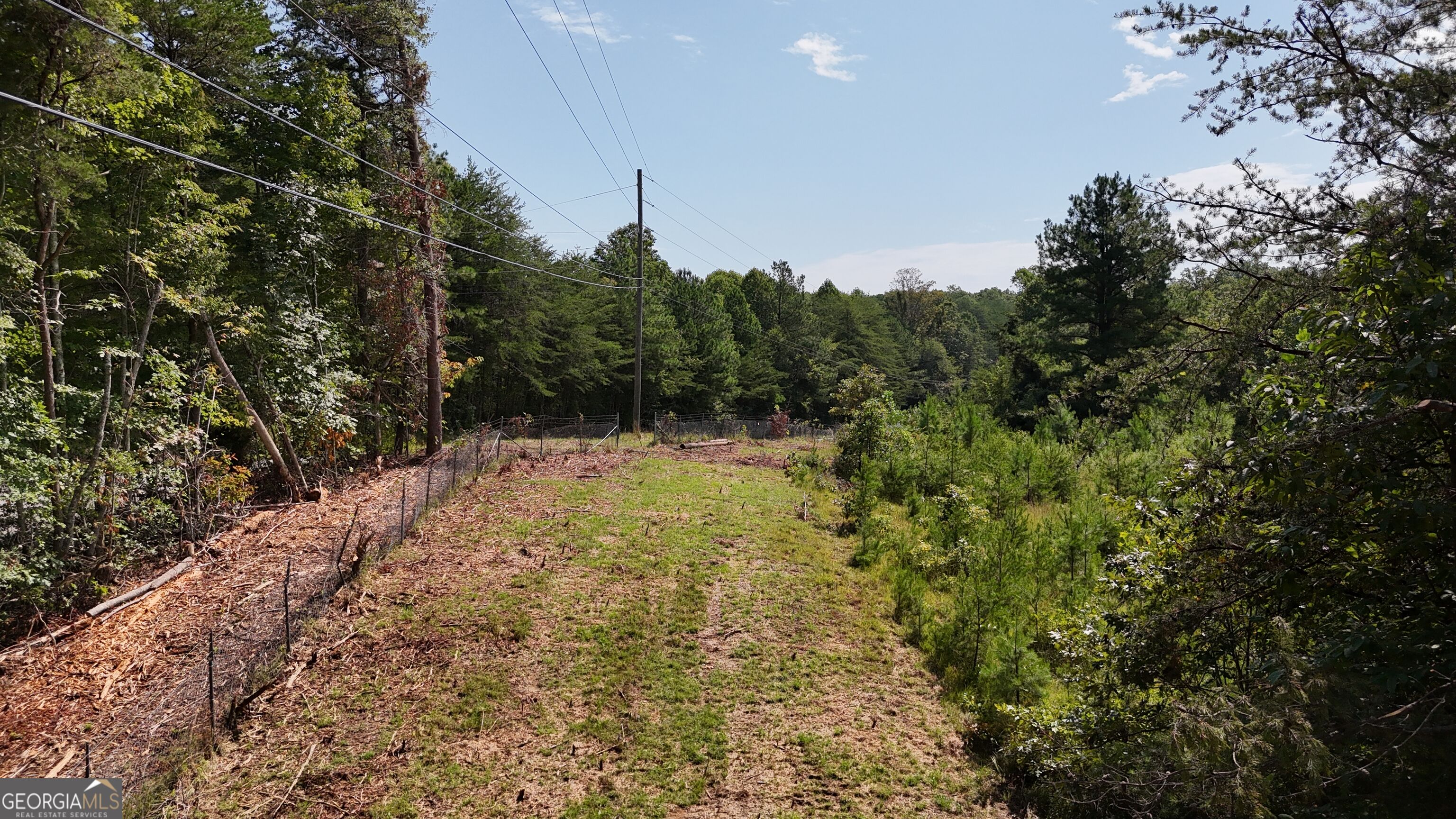 10.8 Ac Cody Road Property Photo 15