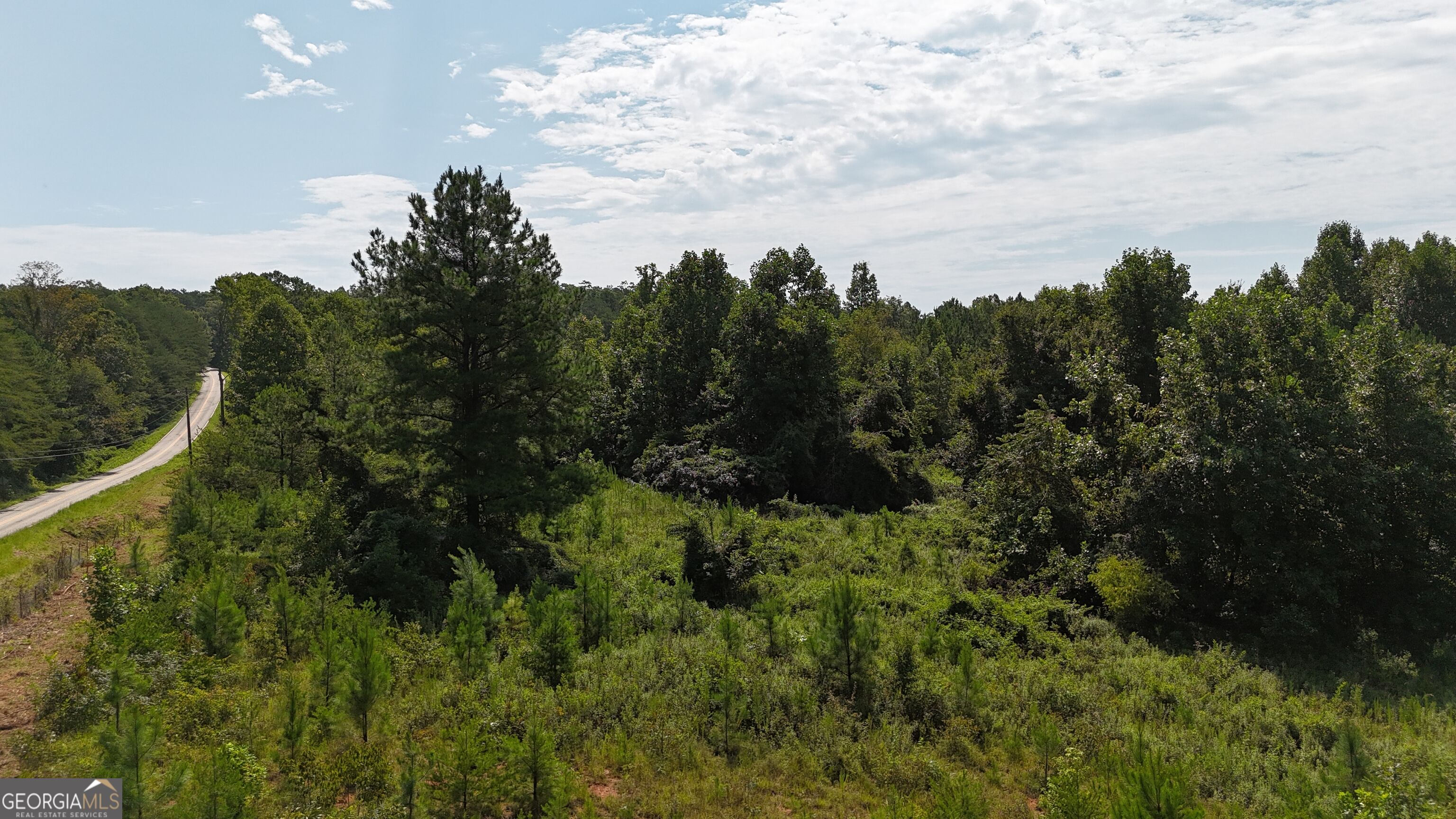 10.8 Ac Cody Road Property Photo 17