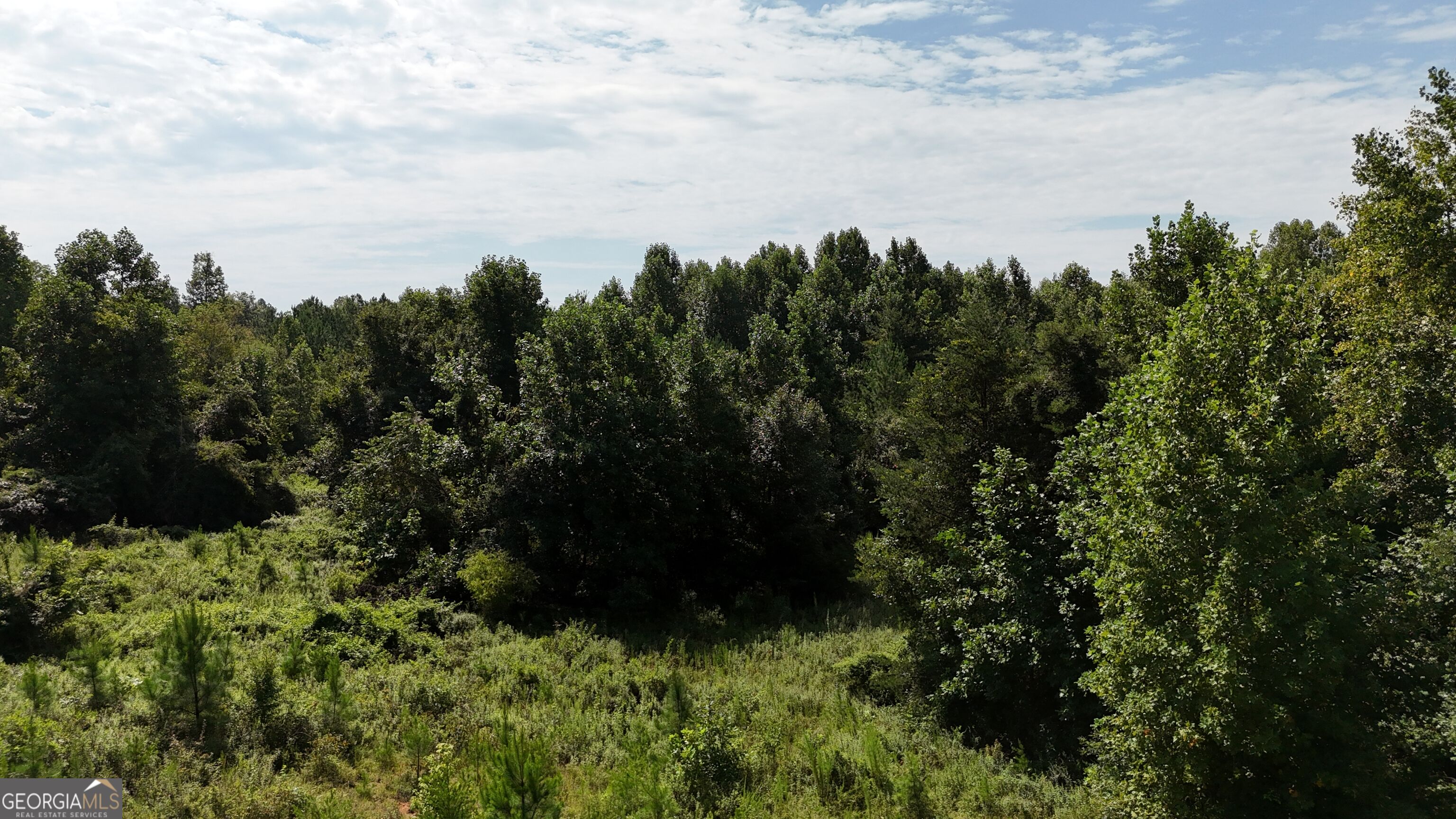 10.8 Ac Cody Road Property Photo 18