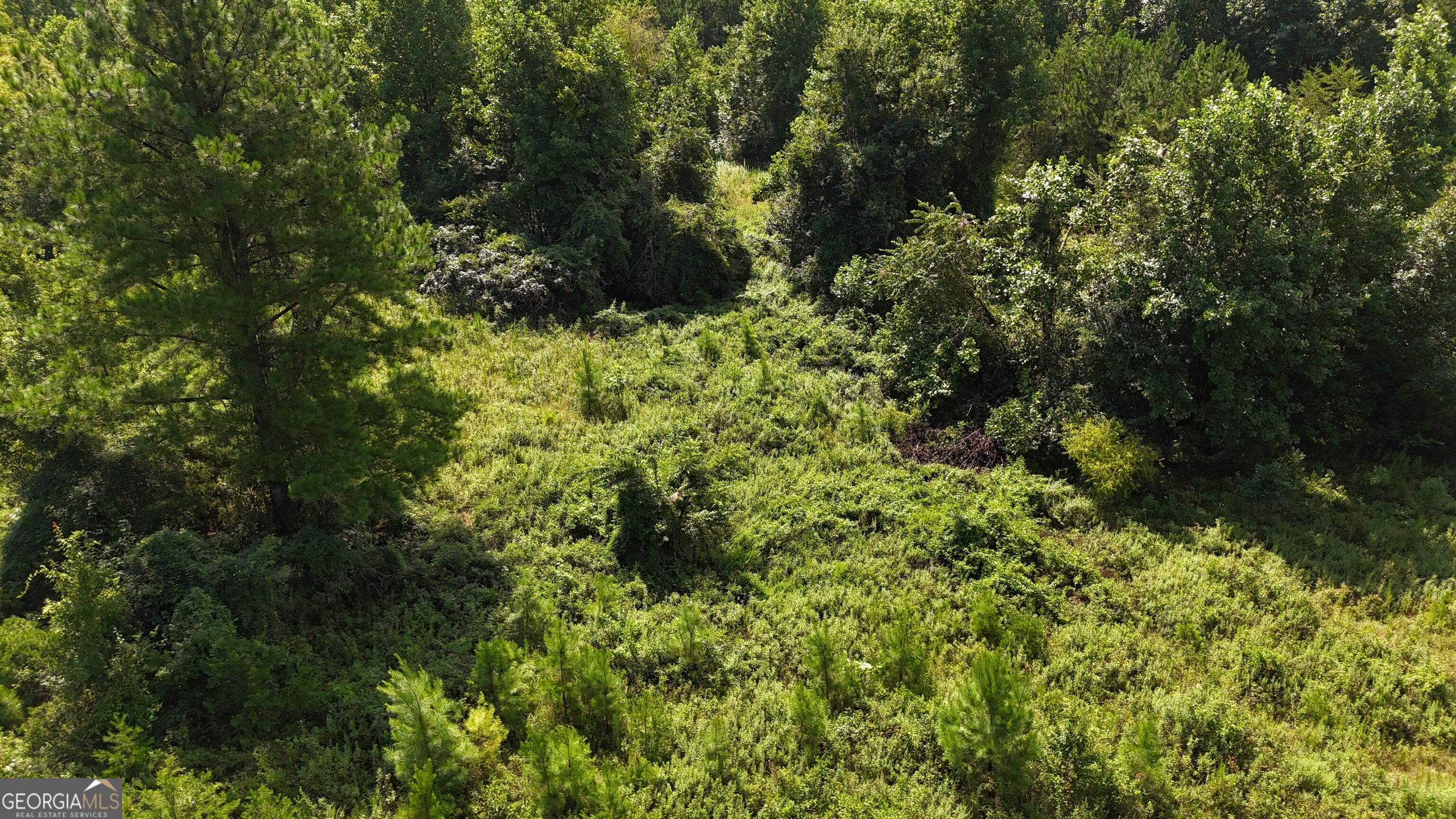 10.8 Ac Cody Road Property Photo 19