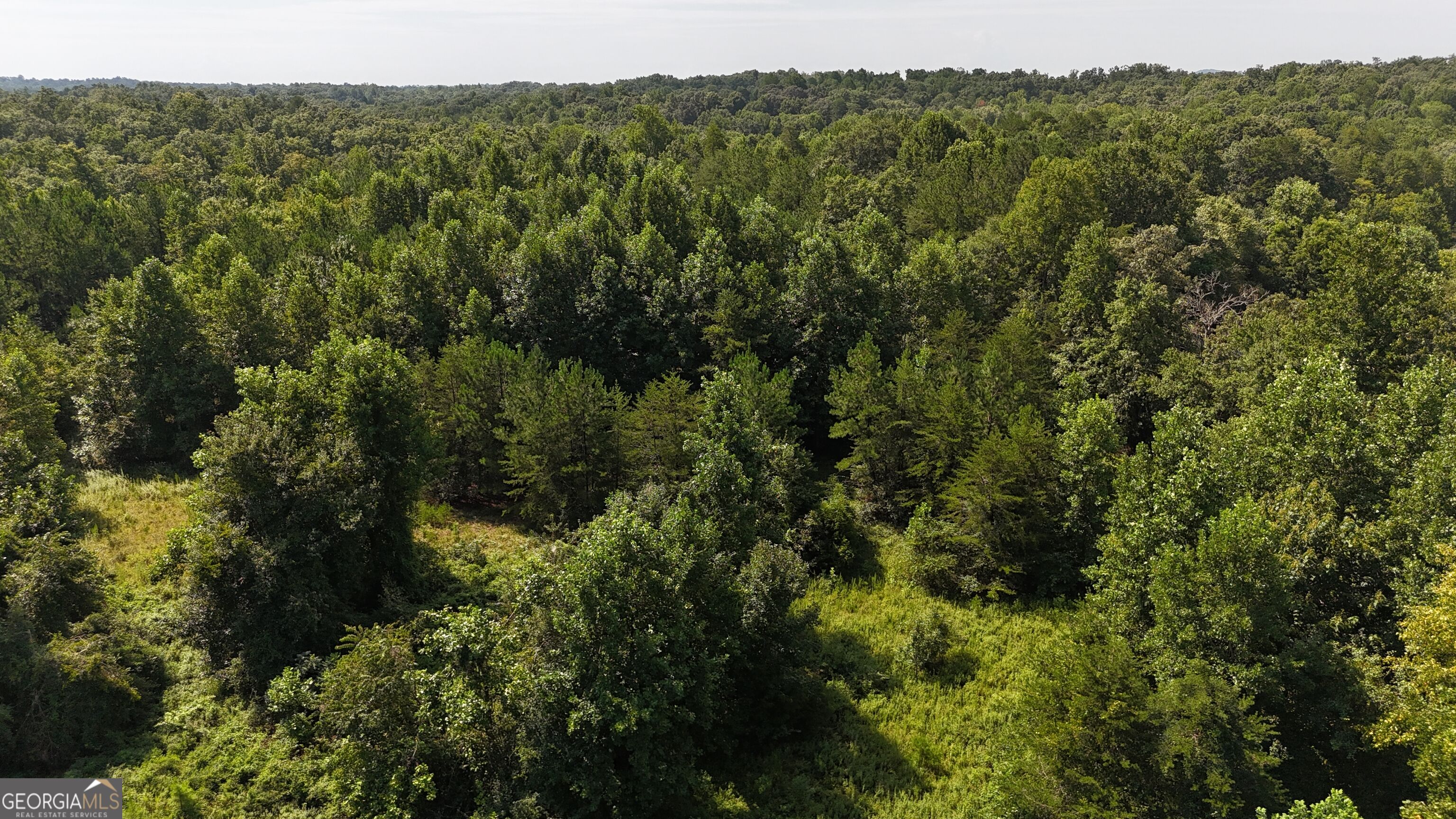 10.8 Ac Cody Road Property Photo 20