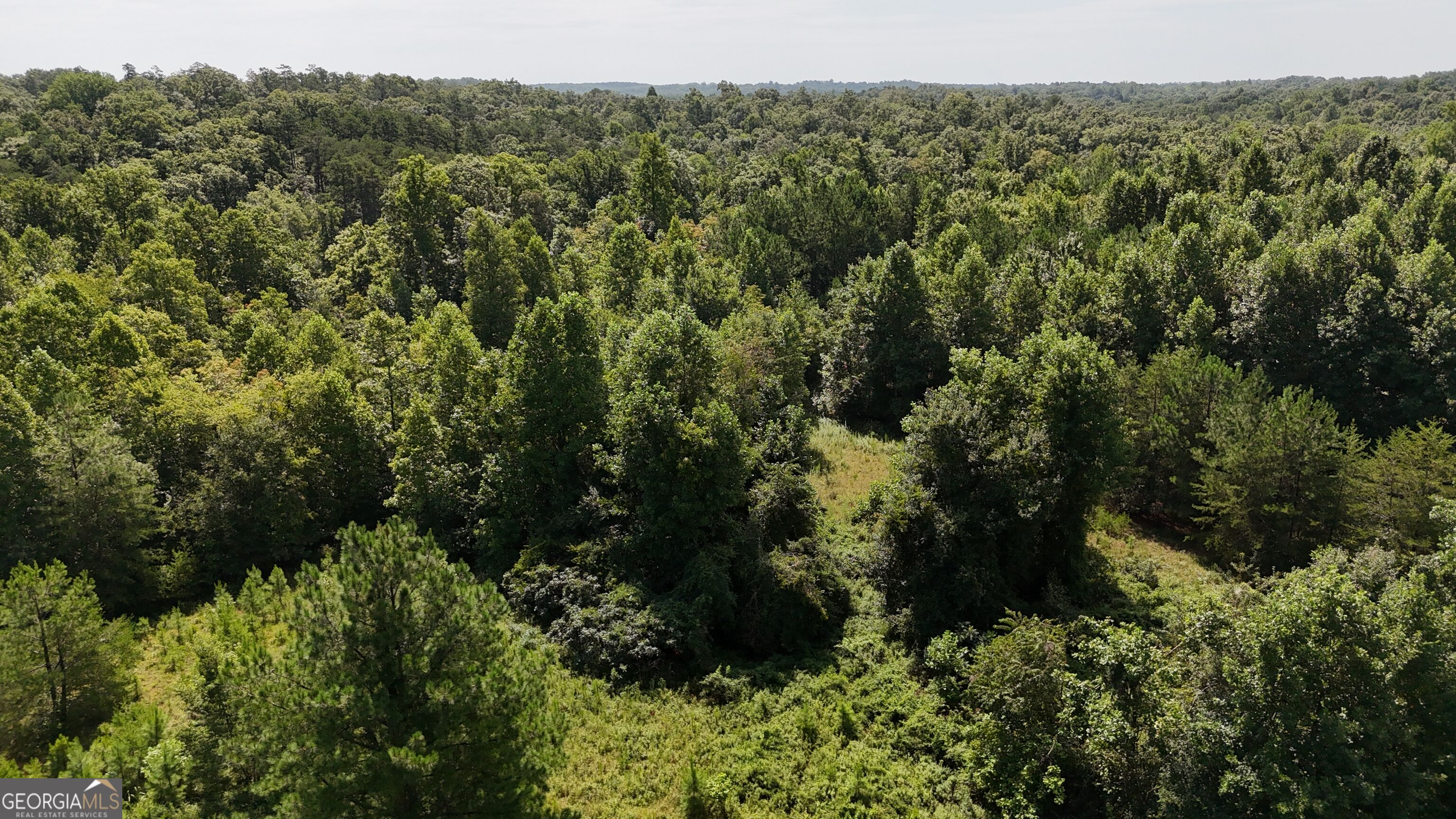 10.8 Ac Cody Road Property Photo 21