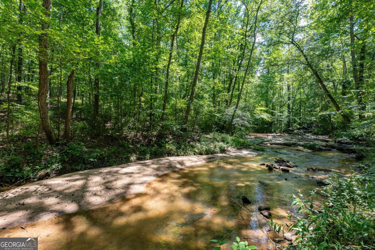 2425 Spratlin Mill Road Property Photo 33
