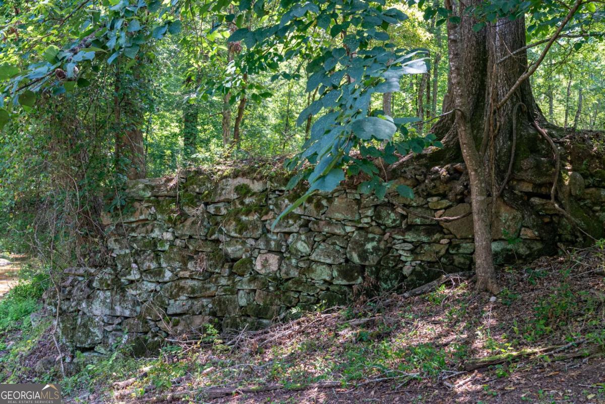 2425 Spratlin Mill Road Property Photo 40