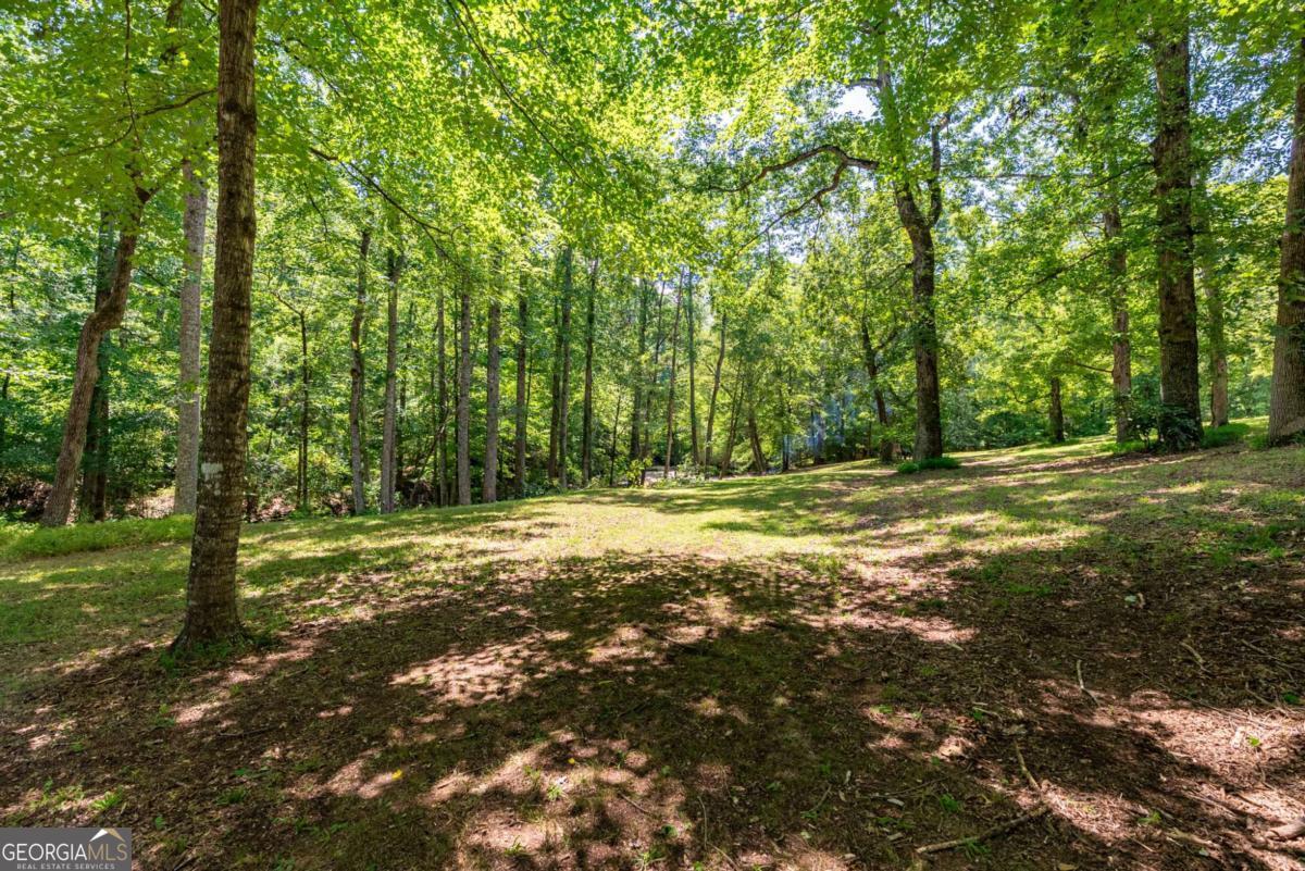 2425 Spratlin Mill Road Property Photo 41