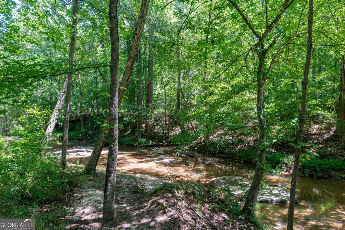 2425 Spratlin Mill Road Property Photo 43