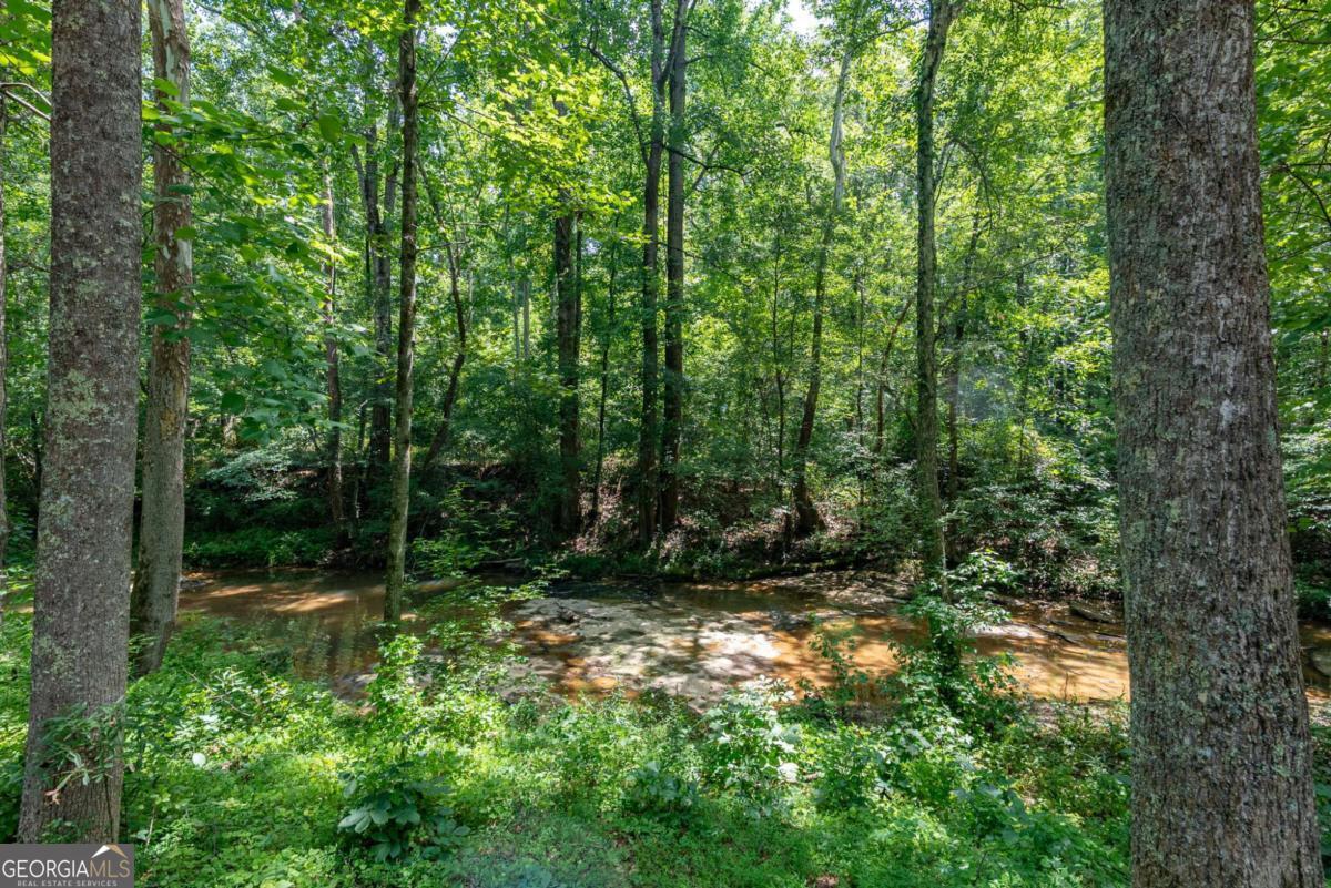 2425 Spratlin Mill Road Property Photo 53